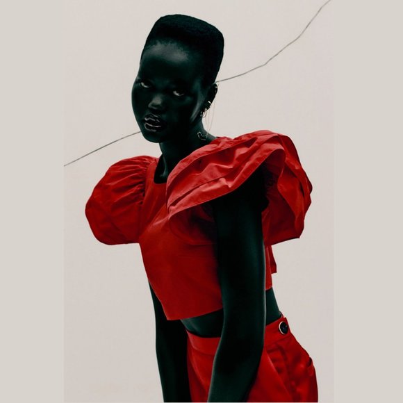 ZARA Crop Top with Ruffled Sleeves - Picture 6 of 11